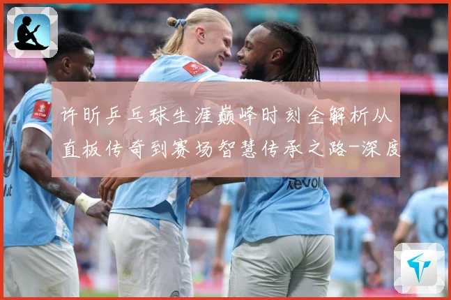 许昕乒乓球生涯巅峰时刻全解析从直板传奇到赛场智慧传承之路-深度解析