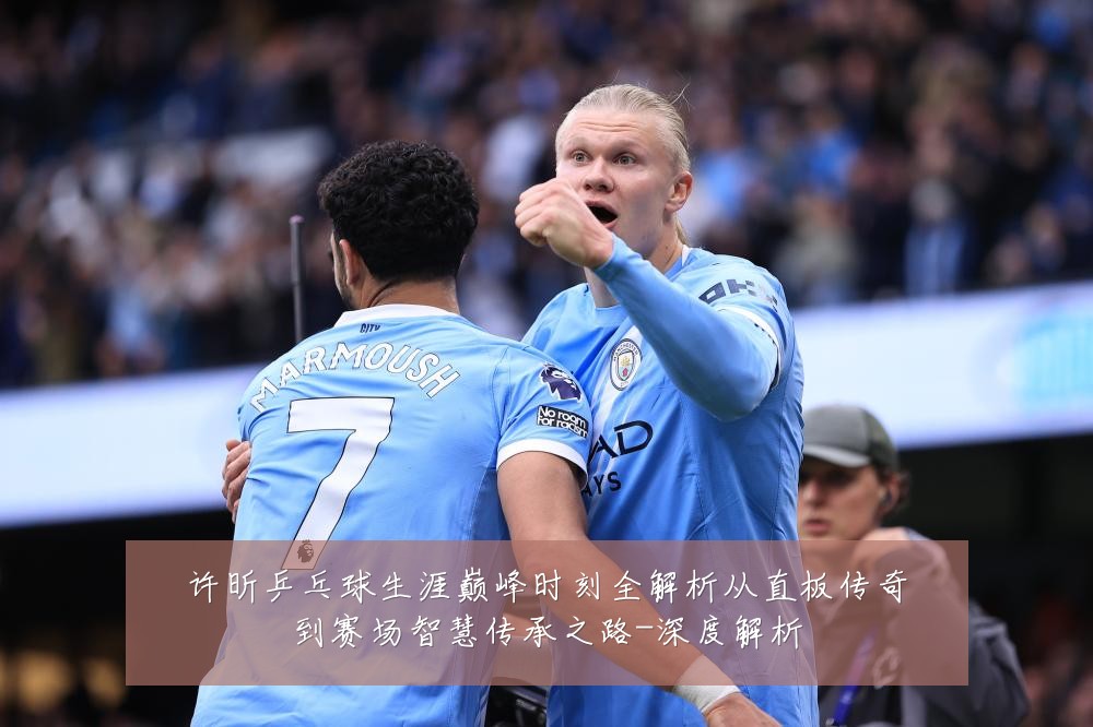 许昕乒乓球生涯巅峰时刻全解析从直板传奇到赛场智慧传承之路-深度解析